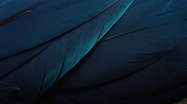 Close up macro shot of deep blue bird feathers. Soft texture with fine lines and gradient color. Natural design element for backgrounds or abstract art projects.