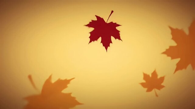 Vibrant Red Maple Leaf and Autumn Shadows on Warm Golden Background