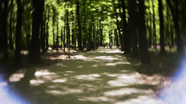 Sunny park alley with walking people and bright lens flare. Cinematic look with vignette, lens flares, sharp center focus, and swirled background for artistic effect.