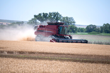 Fototapeta premium combine harvester working on a field