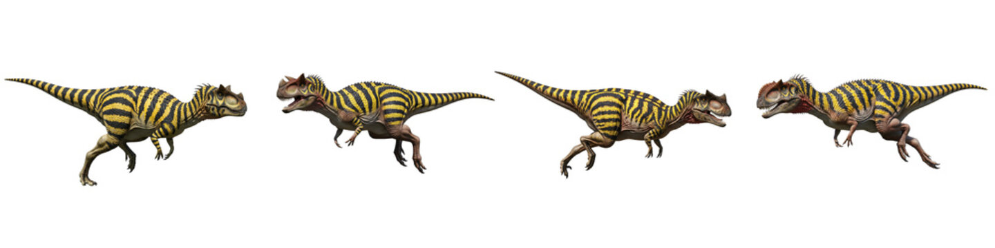 Carnotaurus dinosaur collection with yellow and black stripes on black