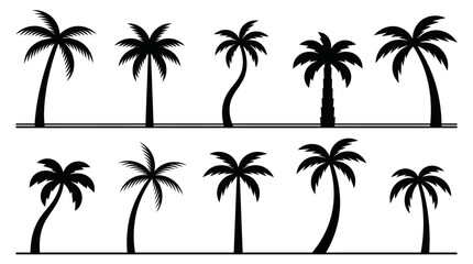 Collection of Silhouette Palm Tree Icons for Tropical Island and Beach Summer Themes © Tulippp