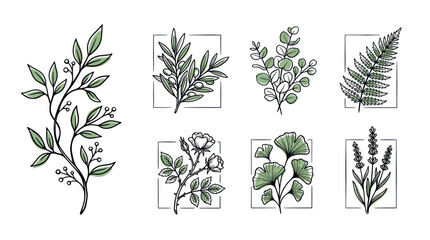 Botanical Illustrations: Hand-Drawn Leaves, Flowers, and Plants in Frames © udin