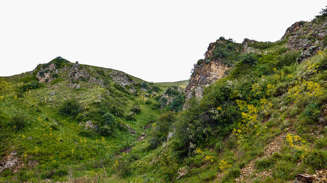 Landscape Kazachstan, ASSI, MOUNTAIN, TREES, WATER, STREAMS. RIVER, GReen, 