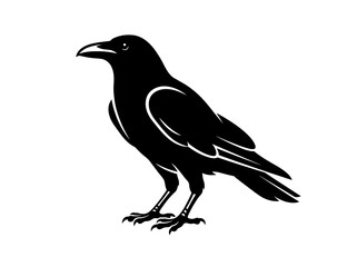 Obraz premium A detailed black and white illustration of a standing raven.