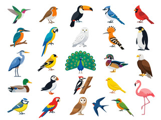 Obraz premium A diverse collection of colorful bird species illustrated in a flat vector style.