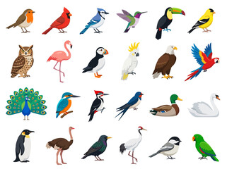 Obraz premium A collection of various colorful bird species illustrated in a flat vector style.