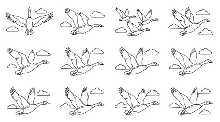 Flock of Geese Flying in Formation, Outlined Style, Vector Graphics, Birds Migration © Petrik