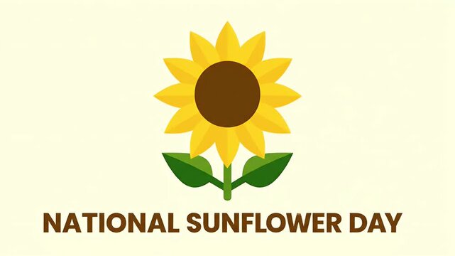 National sunflower day animation with a bright yellow flower blooming on a light cream background