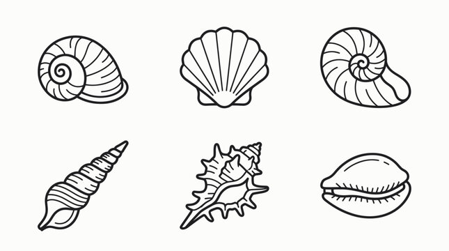 Collection of Seashells Vector Icons: Scallop, Nautilus, Cone, Cowrie