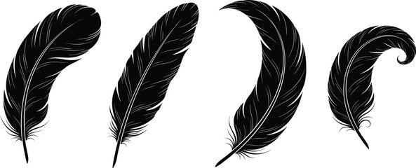 Black feather vector silhouettes set isolated on a white background for design elements and graphic decorations © MdMonowar