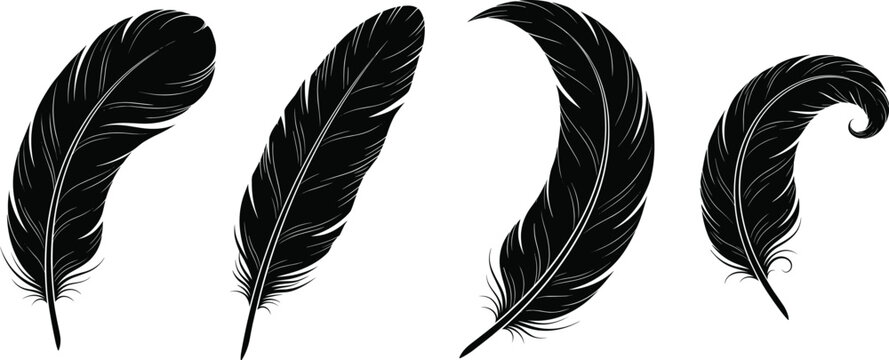 Black feather vector silhouettes set isolated on a white background for design elements and graphic decorations