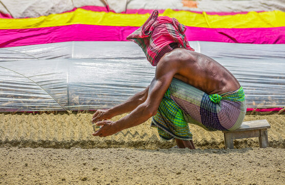 Bogura, Bangladesh - 18 September 2019: View of a worker squatting on a wooden stool while tending to soil beds in a field, with vibrant pink and yellow fabrics in the background.