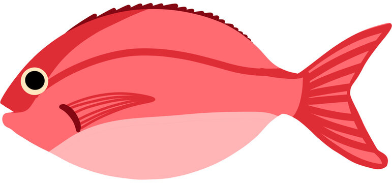 Red fish
