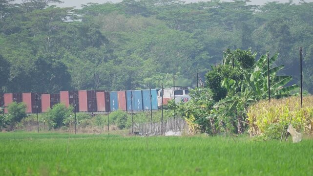 Train Passing Through Rice Fields in Rural Landscape Slog3 10 bit 4:2:2