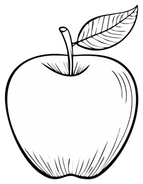 Apple Leaf