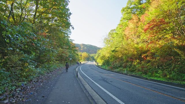 紅葉の名所 秋の鳴子峡の風景　Autumn scenery of Naruko Gorge, a famous spot for autumn foliage.