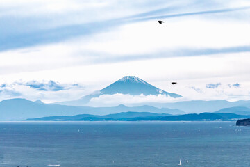 仙元山から見る相模湾越しの富士山 © ramustagram