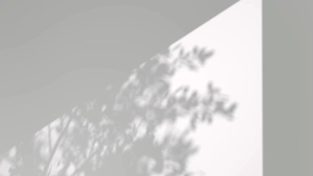 Serenity silhouette leaves trees flowing wind movement overlay footage video 3d rendering