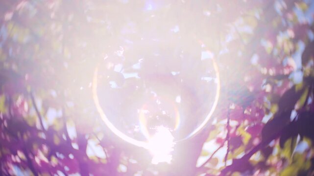 Bright cherry blossom branches sway gently in the soft spring breeze. Cinematic look with vignette, lens flares, sharp center focus, and swirled background for artistic effect.