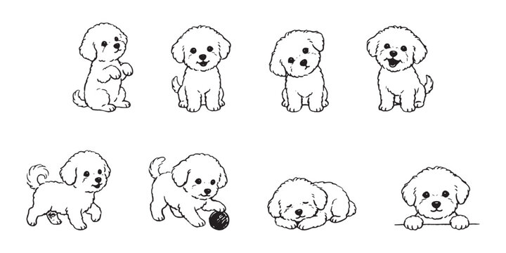 Cute Fluffy Puppy Bichon Frise and Poodle Line Art Hand Drawn Vector Character Set