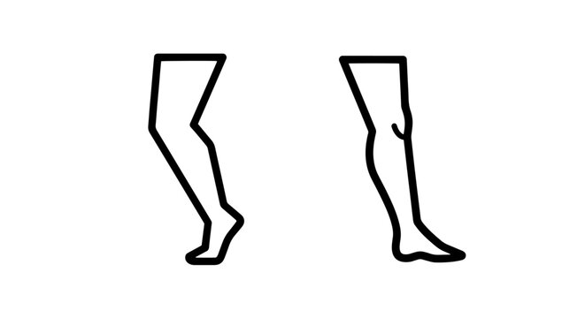 Leg and knee joint anatomy outline icons with structure