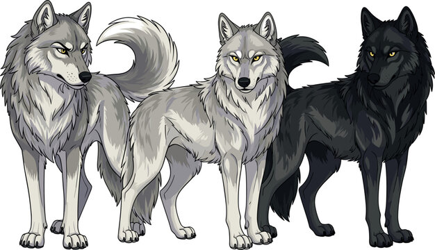 Three Detailed Cartoon Wolves Standing Together in Gray and Black Colors Vector Illustration for Wildlife, Fantasy, and Nature Design Projects