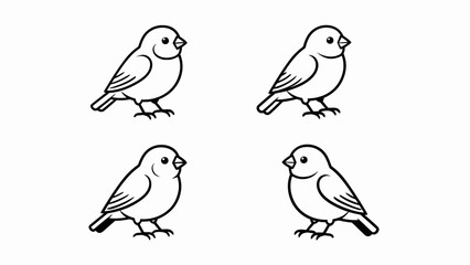 Four Outline Birds Illustration © ifana