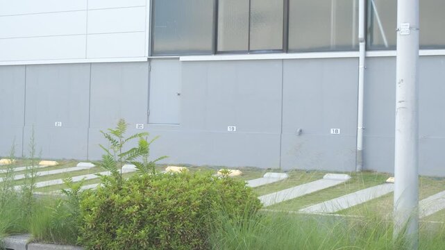 Green Shrub Swaying in Front of Modern Building Wall