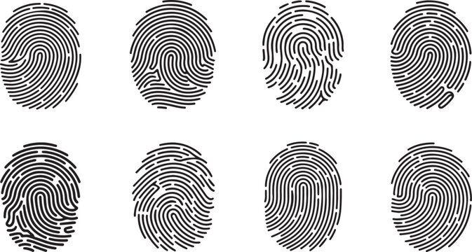 Set of fingerprint icons, vector illustration of human fingerprints, collection of different fingerprint patterns, biometric identification signs, security and authentication symbols