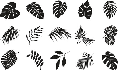 Fototapeta premium Tropical Leave Icon Vector set, Botanical Nature Symbol, Exotic Foliage Design, Jungle Plant Sign, Eco Element Collection, Organic Set, Leaf Group, Outline Graphic for Web and Print.