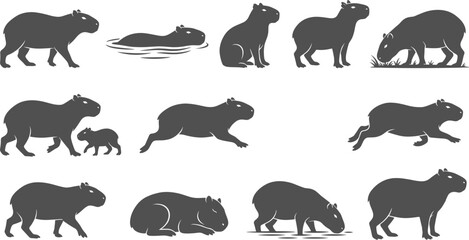 Fototapeta premium Capybara rodent silhouette set showing giant semi aquatic animals walking swimming and grazing