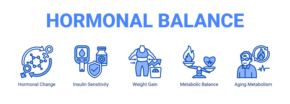 Hormonal Balance web banner icon concept, with Hormonal Change, Insulin Sensitivity, Weight Gain, Metabolic Balance.