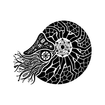 Abstract Nautilus Shell with Geometric and Organic Patterns.
