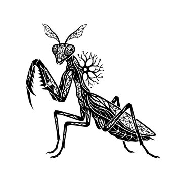 Intricate Black and White Praying Mantis Illustration with Organic Elements.