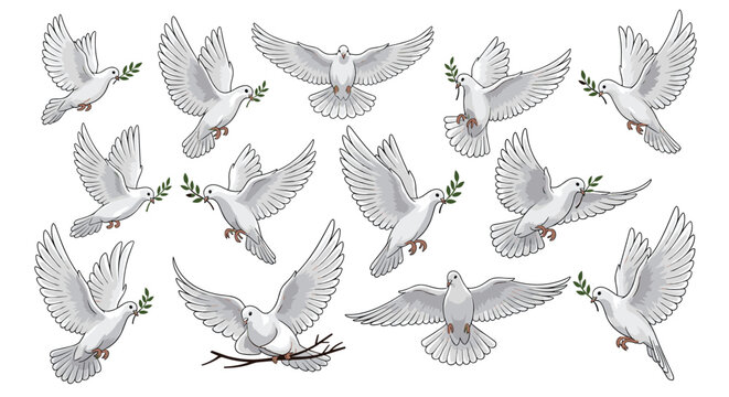 Beautiful set of white doves in various flying and landing positions, many carrying olive branches as symbols of peace.