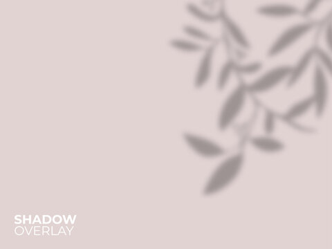 Realistic Leaf Branch Shadow Overlay Effect, Aesthetic Plant Leaves Light Cast on Neutral Pink Mauve Wall Background