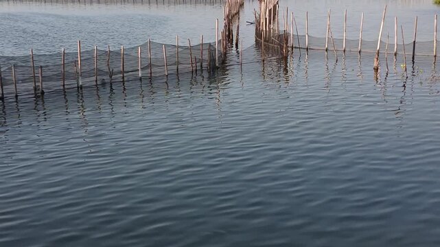 Water ripples on a traditional fish pond with bamboo fence