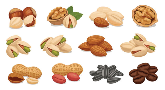 Assorted healthy nuts and seeds collection including walnuts pistachios hazelnuts peanuts and sunflower seeds.