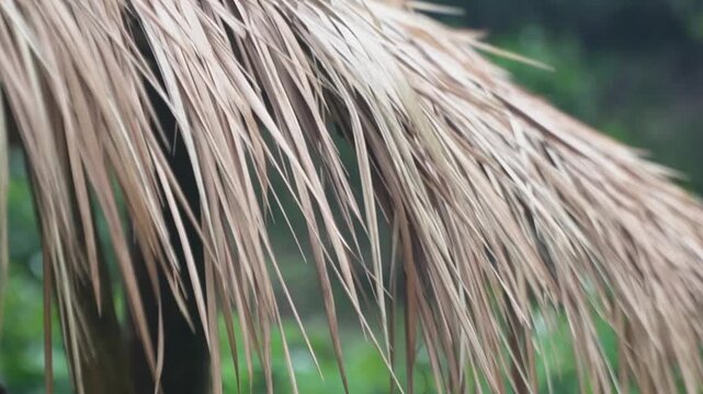 A traditional thatched roof hut stands beside a tranquil stream, surrounded by lush tropical greenery, symbolizing a peaceful and natural escape. straw roof background