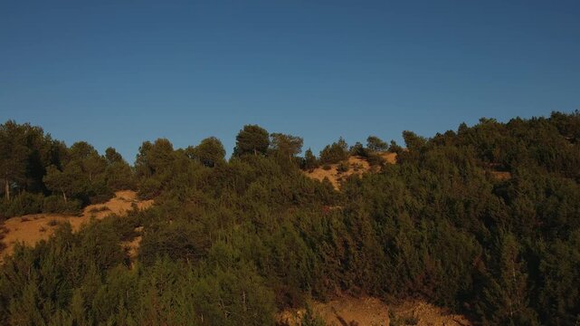 Forested slopes in Ourika Valley, Al Haouz Province, Marrakesh-Safi, Morocco, reveal High Atlas peaks beyond native woodland and rocky terrain, forward flyover reveal shot.