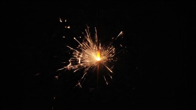 Fireworks exploding in the night sky.