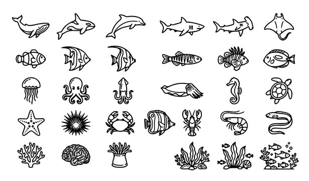 Marine Wildlife Outline Icons Featuring Ocean Animals, Orcas, Dolphins and Tropical Fish Collection