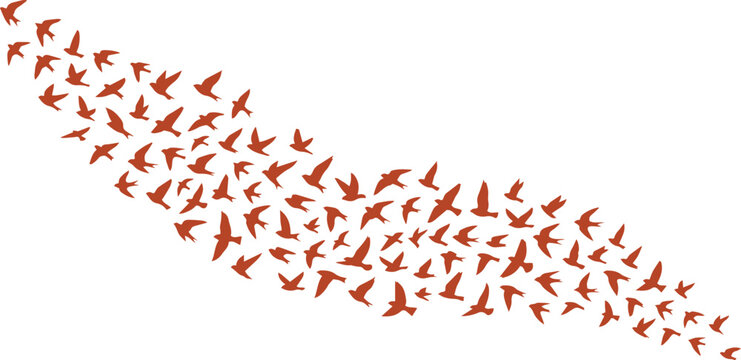 Flying birds vector illustration, a flock of brown birds in flight, dynamic avian migration pattern, freedom and nature concept, isolated on white for design elements