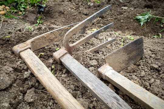 Garden Fork And Hoe In Soil