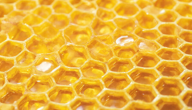 Macro close up view of a golden honeycomb structure with hexagonal cells filled with sweet liquid honey and natural beeswax texture patterns