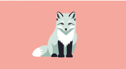 Sitting arctic fox with white fur and black paws © Patrick