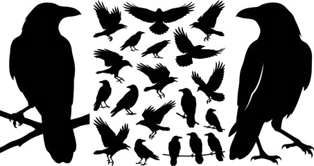 Fototapeta premium Collection of black silhouette birds flying and perched on branch isolated on white background