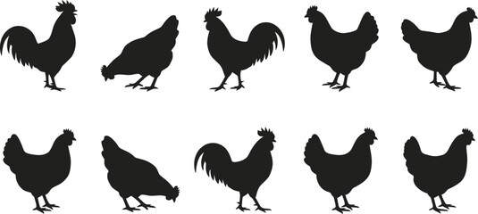 Collection of rooster and hen silhouettes on white background © SAYEDAJANNATUL