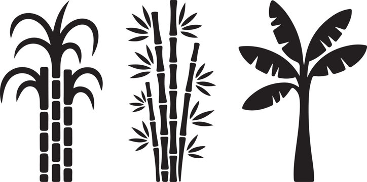 tropical plants sugarcane bamboo and banana leaves clean silhouette vector illustrations